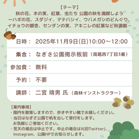 11/9(日)「樹木観察会」開催のお知らせ