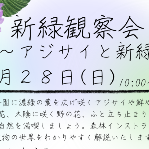6/28(日)「新緑観察会」開催のお知らせ