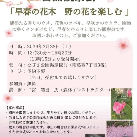 2/28(土)「自然観察会🌸」開催のお知らせ